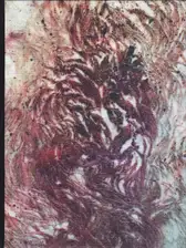 Nadia del Pozo - Vientre