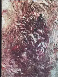 Cover of Nadia del Pozo - Vientre