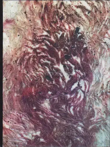 Cover of Nadia del Pozo - Vientre