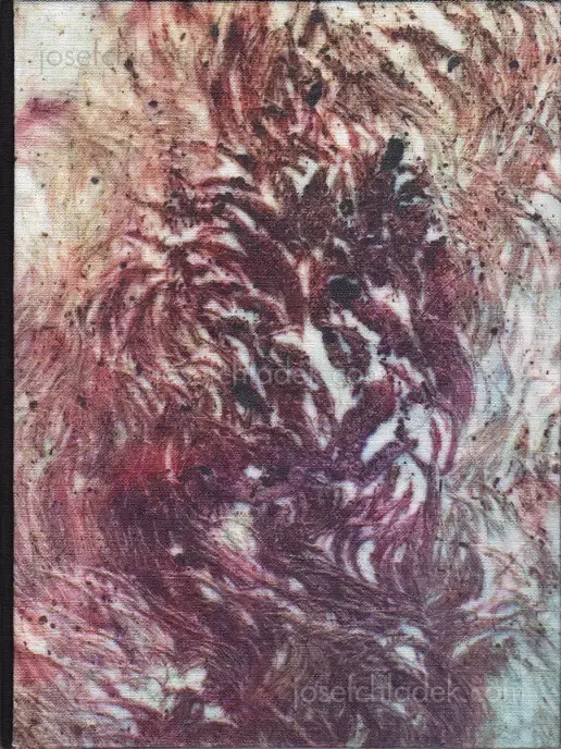Cover of Nadia del Pozo - Vientre