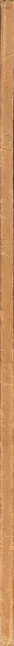 Book spine: Heinz und Bodo Rasch - Der Stuhl