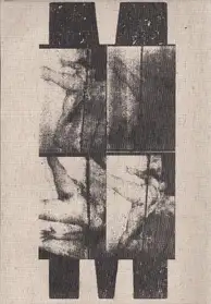 Olivier Pin-Fat - Meat