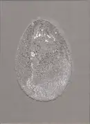 Leif Sandberg - Beyond the Mirror