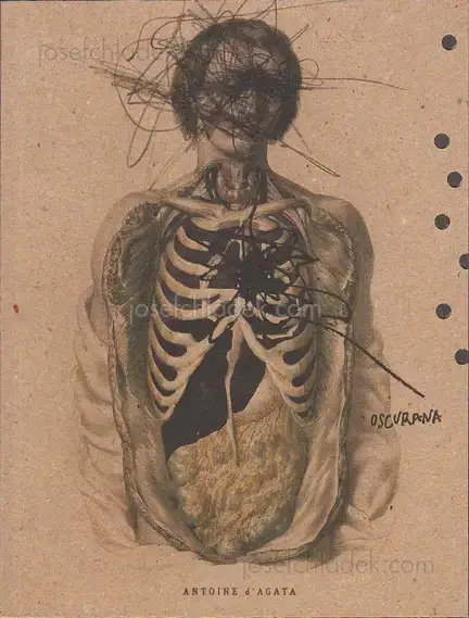 Cover of Antoine D'Agata - Oscurana