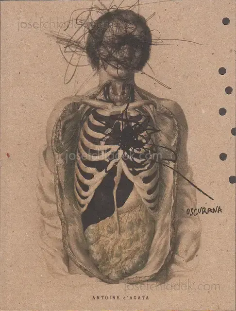 Cover of Antoine D'Agata - Oscurana