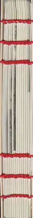 Book spine: Martina Korošec - The Red Thread