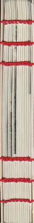 Book spine: Martina Korošec - The Red Thread