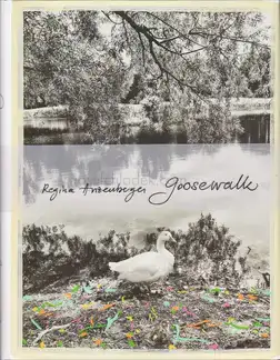Cover of Regina Anzenberger - goosewalk