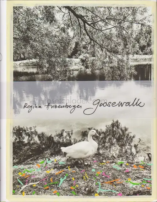 Cover of Regina Anzenberger - goosewalk