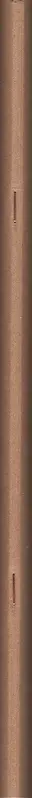 Book spine: Martin Frey & Philipp Graf - Spurensuche 2018