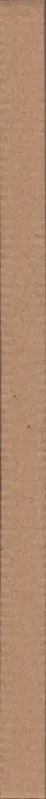 Book spine: Arthur Bondar - The Verge