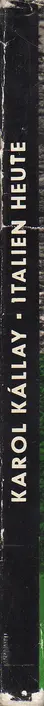Karol Kallay - Italien heute