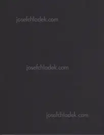 Libuše Jarcovjáková - Evokativ