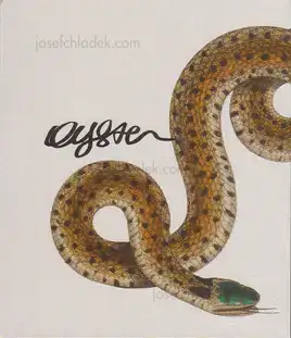 Cover of Marco Marzocchi - Oyster