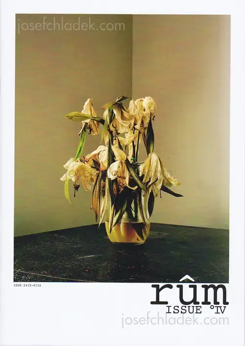 Cover of Maria Lichtenegger & Harald Wawrzyniak (Eds.) - rûm magazine Issue°IV
