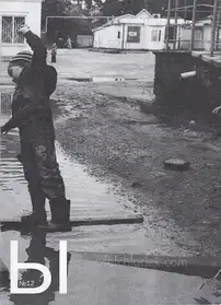 Various - МЫ / WE №12