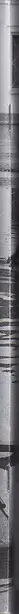 Book spine: Various - МЫ / WE №12