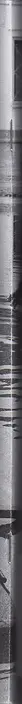 Book spine: Various - МЫ / WE №12