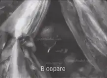 Sergey Trapezin - In Ravine