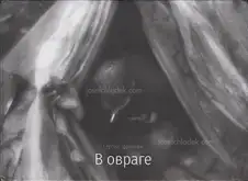 Sergey Trapezin - In Ravine