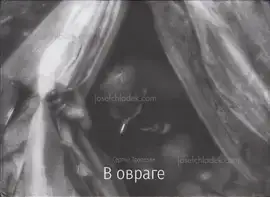 Sergey Trapezin - In Ravine