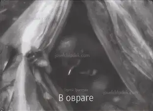 Sergey Trapezin - In Ravine