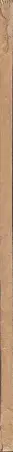 Book spine: Bruno Frei - Jüdisches Elend in Wien. Bilder und Daten