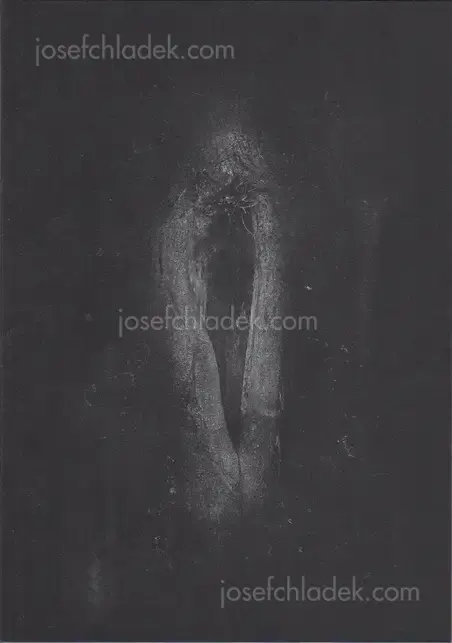 Cover of Dimitra Dede - Mayflies