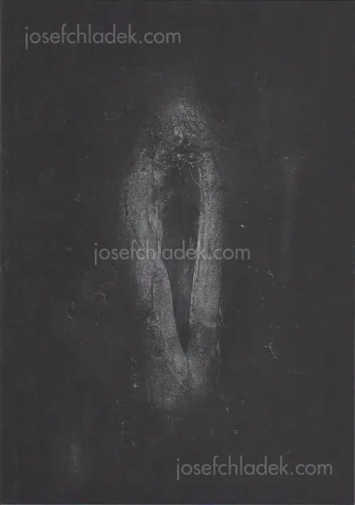 Cover of Dimitra Dede - Mayflies