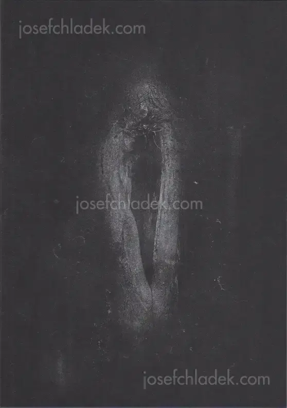 Cover of Dimitra Dede - Mayflies