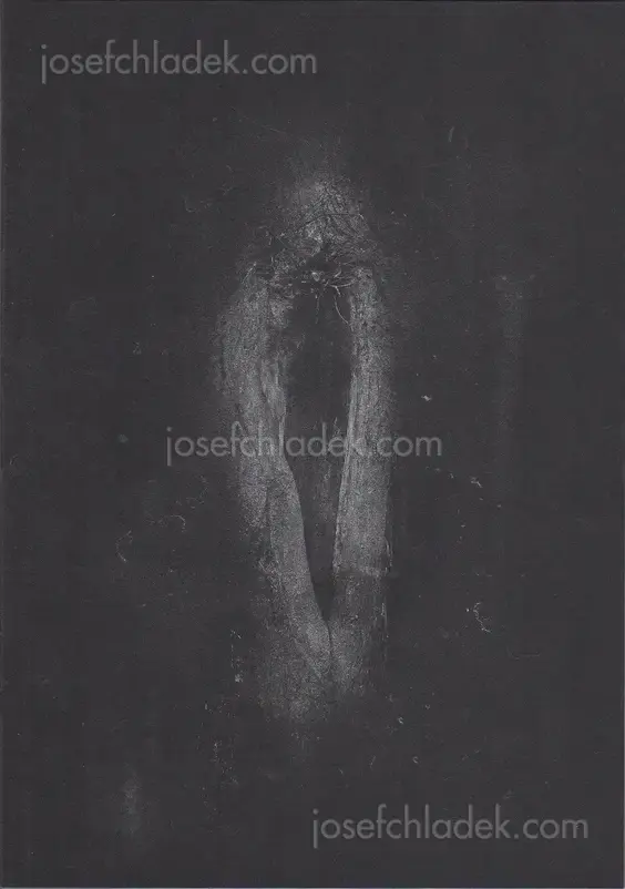 Cover of Dimitra Dede - Mayflies