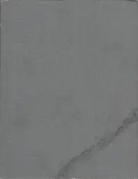 Peter Fettich - Rispect the Boul