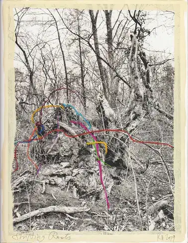 Cover of Regina Anzenberger - Shifting Roots