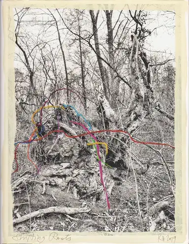 Regina Anzenberger - Shifting Roots Regina Anzenberger - Shifting Roots