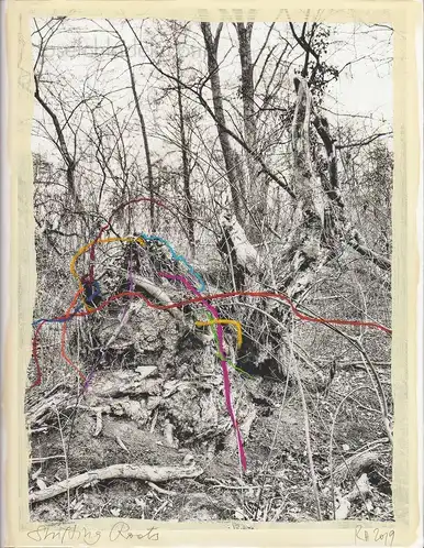 Cover of Regina Anzenberger - Shifting Roots