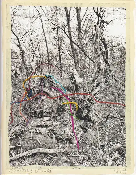 Cover of Regina Anzenberger - Shifting Roots