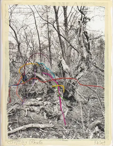 Cover of Regina Anzenberger - Shifting Roots