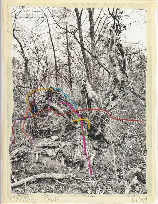 Cover of Regina Anzenberger - Shifting Roots