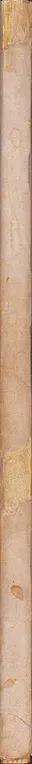 Book spine: Richard J. Neutra - Wie baut Amerika?