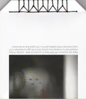 Anna Karaulova - Rapid Eye Movement       - Book photo 2