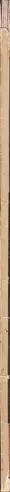 Book spine: Adolf Behne - Eine Stunde Architektur