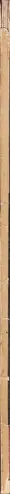 Book spine: Adolf Behne - Eine Stunde Architektur
