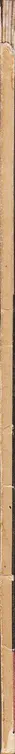 Book spine: Adolf Behne - Eine Stunde Architektur