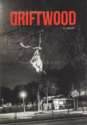 Cover of Christian Reister - Driftwood No.11 | Ghosts