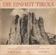 Wilhelm Angerer,  Die Einheit Tirols
