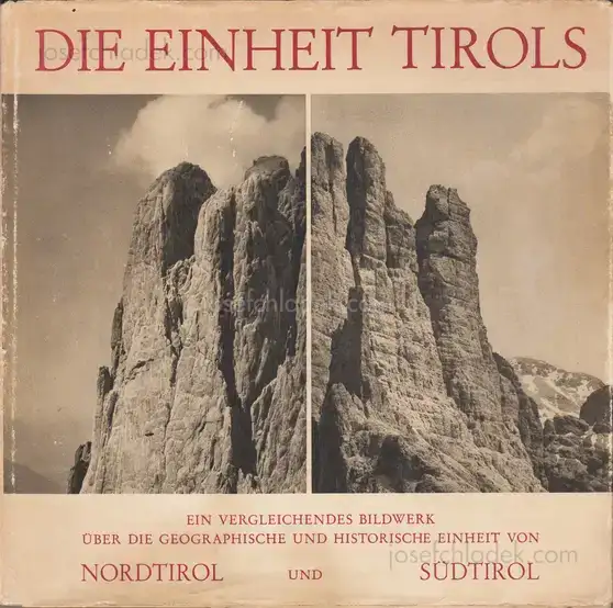 Cover of Wilhelm Angerer,  Die Einheit Tirols