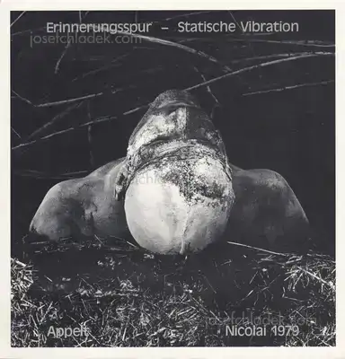 Dieter Appelt - Erinnerungsspur - Statische Vibration. Dieter Appelt - Erinnerungsspur - Statische Vibration.