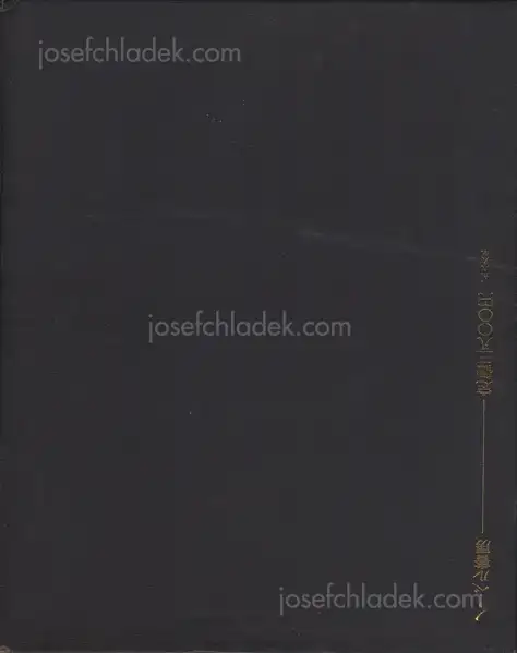 Cover of Akira Suzuki - Les Fleurs du Mal - Réhabilitation par mon sexe (悪の華●わが性からの復権 )