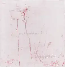 Regina Anzenberger - Gstettn