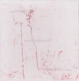 Cover of Regina Anzenberger - Gstettn